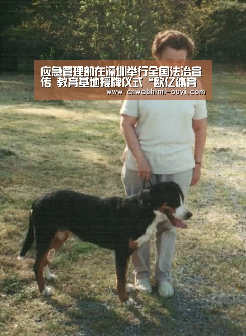 应急管理部在深圳举行全国法治宣传 教育基地授牌仪式“欧亿体育团队”(图2) 欧亿体育部门