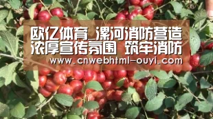 欧亿体育_漯河消防营造浓厚宣传氛围 筑牢消防安全基础(图3) 欧亿体育部门