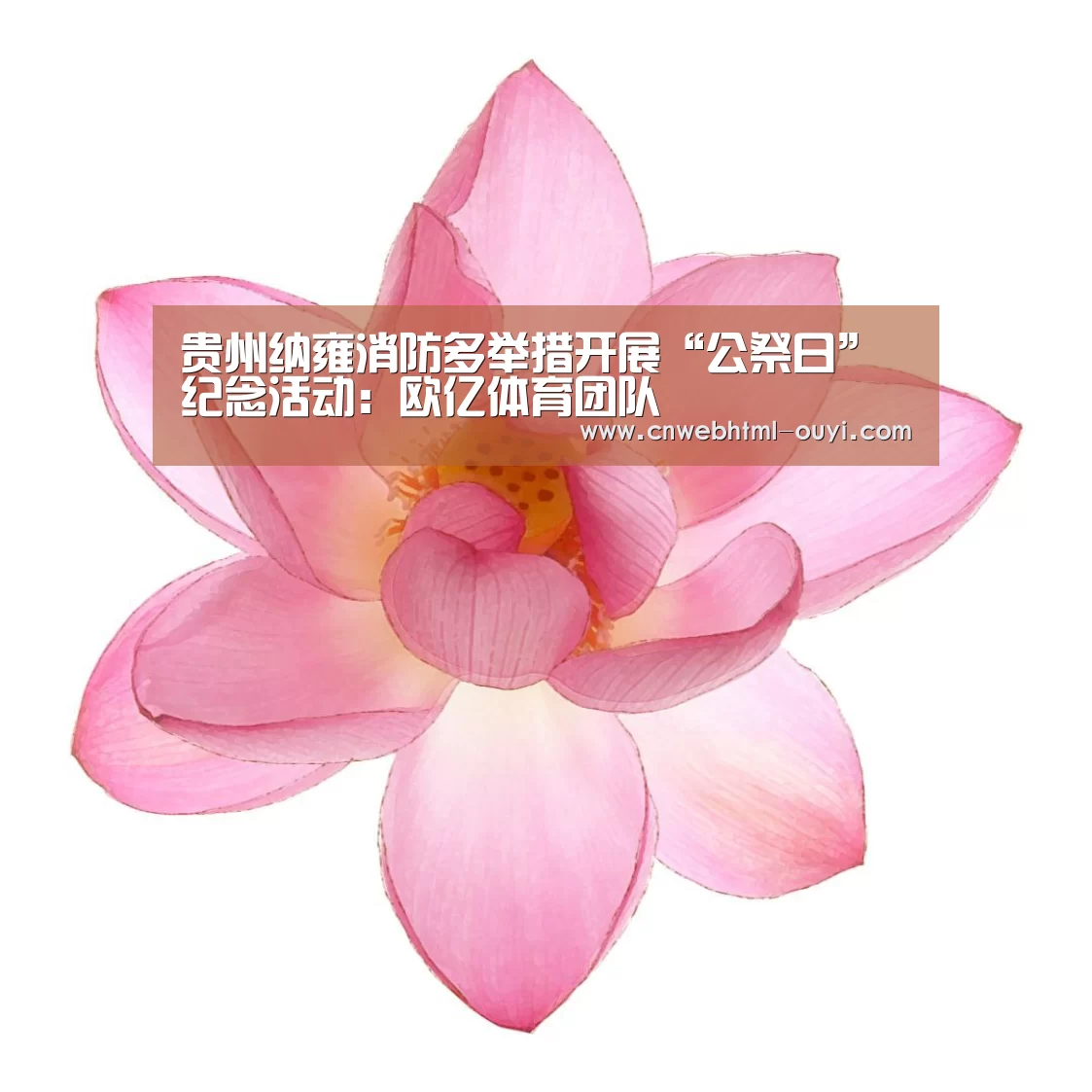 贵州纳雍消防多举措开展“公祭日”纪念活动：欧亿体育团队