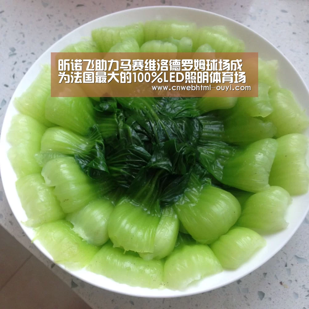 昕诺飞助力马赛维洛德罗姆球场成为法国最大
